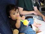 Kyto on plane